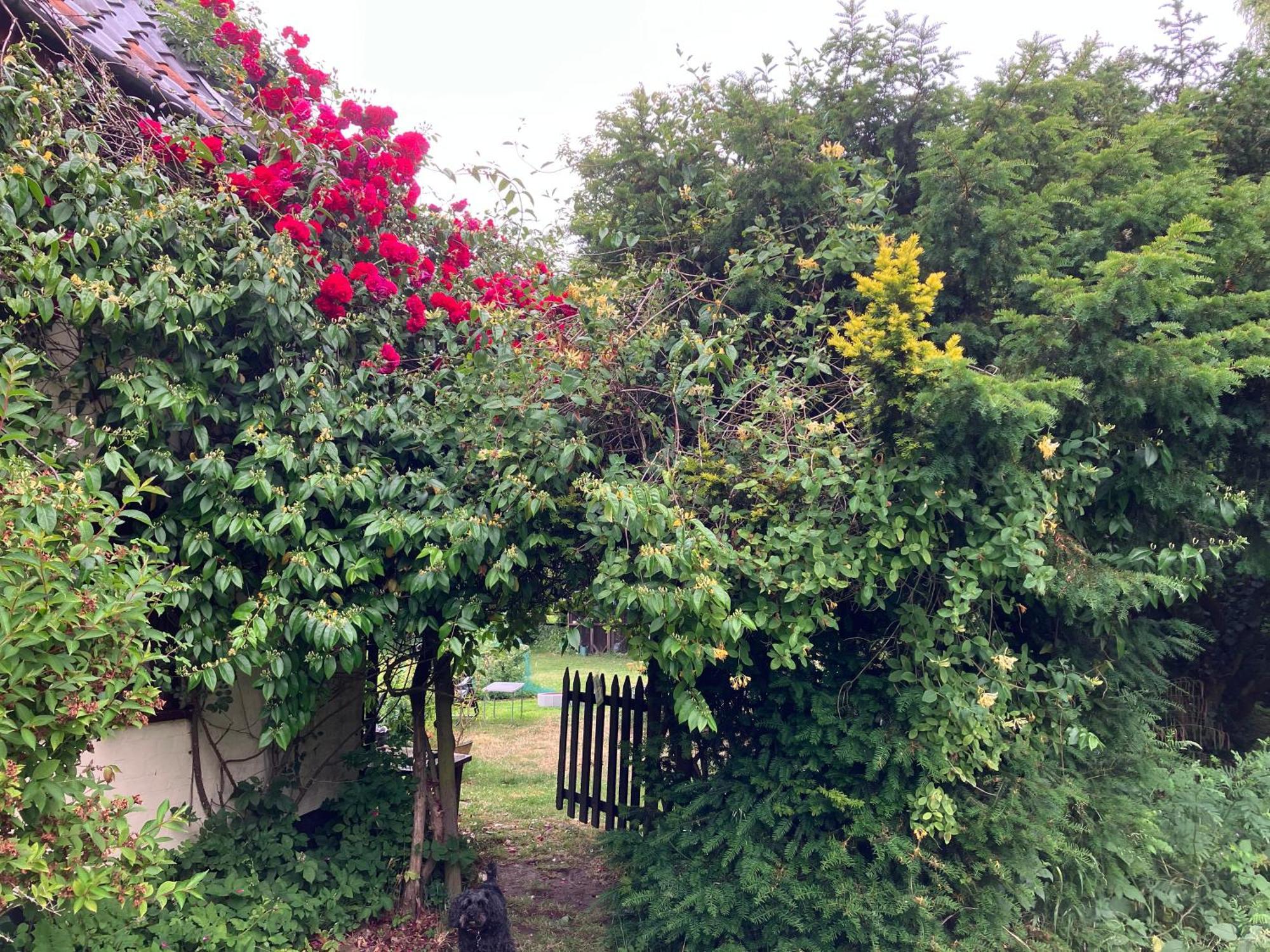 Valley Farmhouse, Westhall Bed & Breakfast