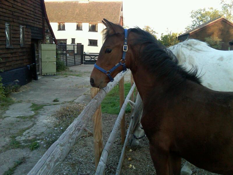 Valley Farmhouse, Westhall 4*